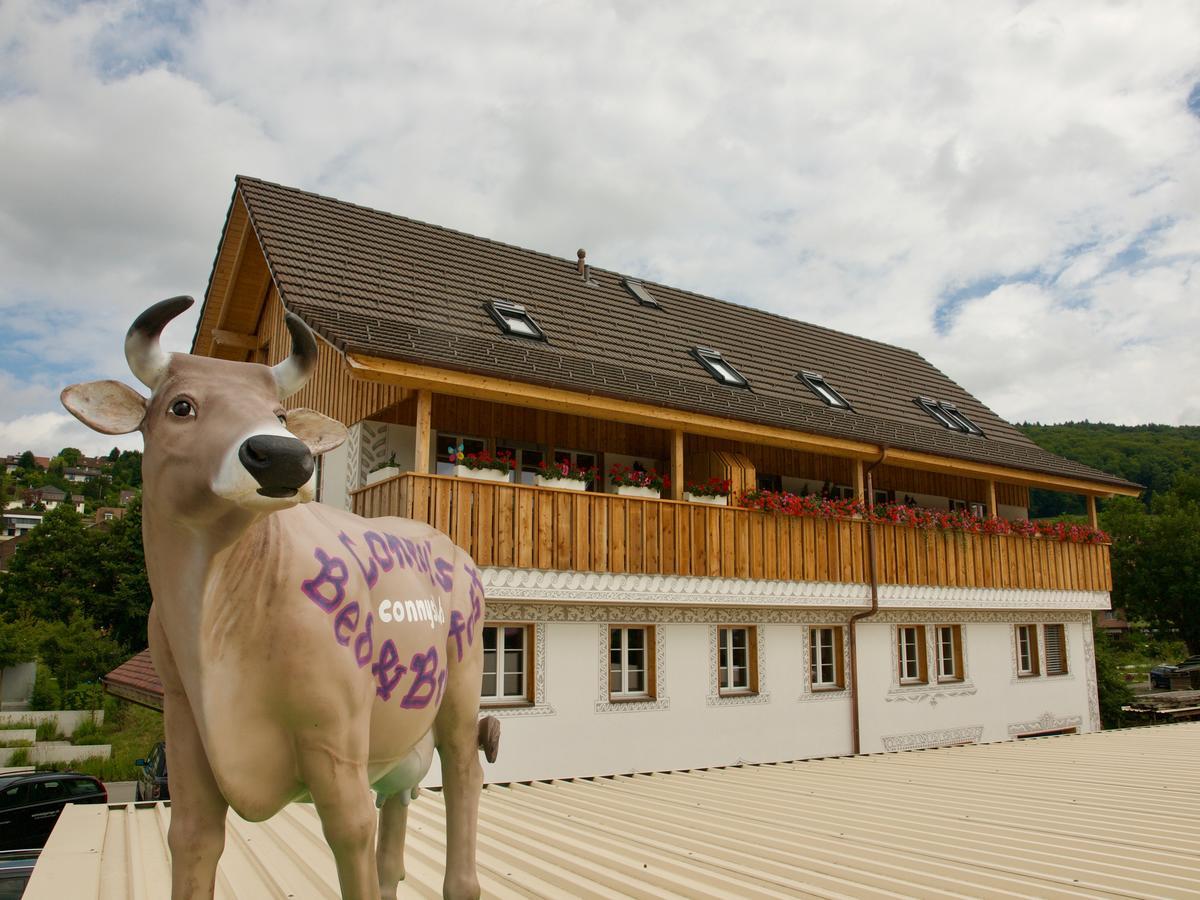 Conny'S B&B Niederweningen Eksteriør billede