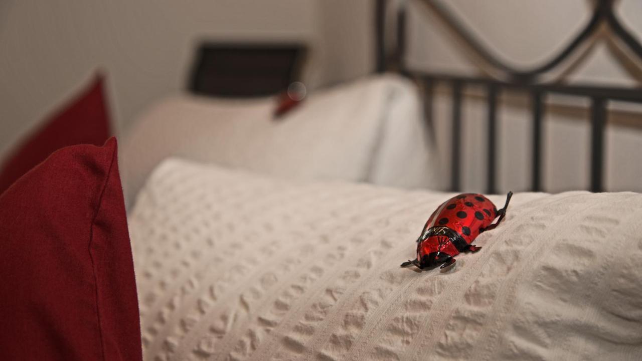 Conny'S B&B Niederweningen Eksteriør billede